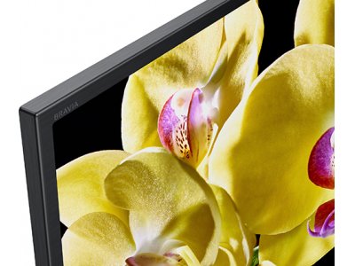 Телевизор Sony KD-49XG8096