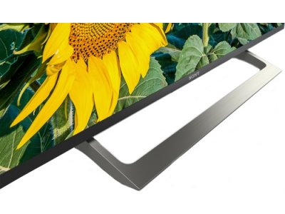 Телевизор SONY KD55XF8096BR2
