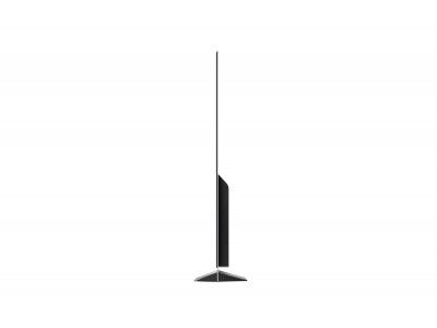 Телевизор LG OLED65E8PLA